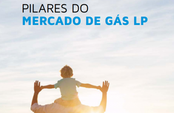 Pilares do mercado de Gás LP – Português