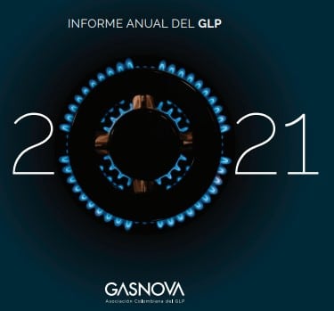 Informe Anual del GLP – 2021