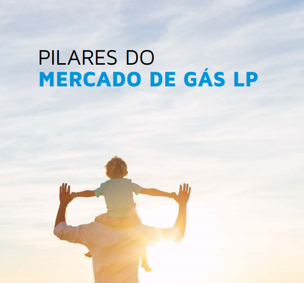 Pilares do mercado de Gás LP – Português