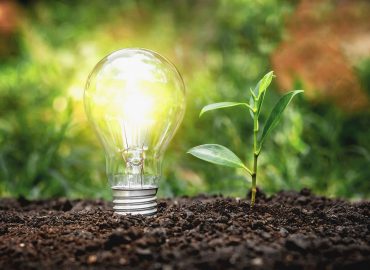 Energy Saving Lamps And Planting Trees On The Soil Ground Electr