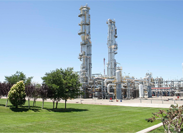 Planta de MEGA – ARG